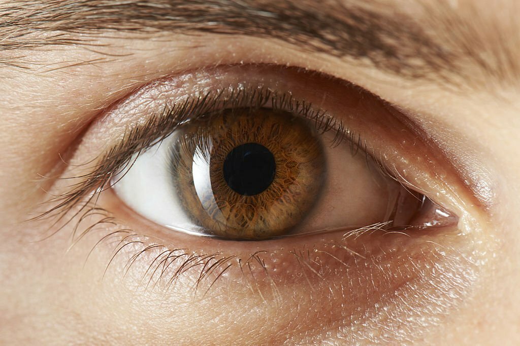 best color contacts for brown eyes